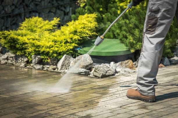 Best Boat and Dock Cleaning  in Three Oaks, FL