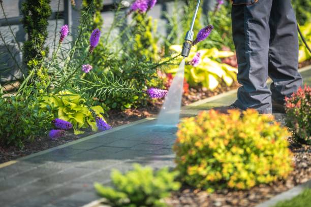 Best Patio and Deck Pressure Washing  in Three Oaks, FL