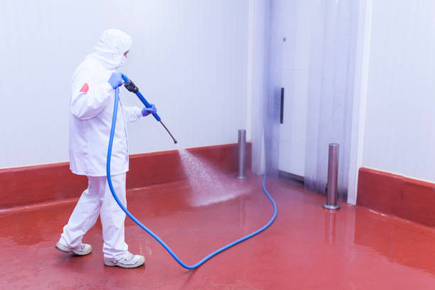 Best Machinery and Equipment Cleaning  in Three Oaks, FL